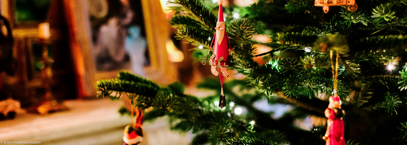 Ein geschmückter Zweig eines Weihnachtsbaumes vor einem Regal mit Familienbildern