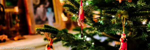 Ein geschmückter Zweig eines Weihnachtsbaumes vor einem Regal mit Familienbildern